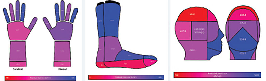 Figure B8. Manikin Forms for Testing Gloves, Boots, and Hoods at NCSU TPACC